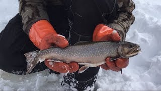 Ice Fishing for BIG Brook Trout [upl. by Adnarram]