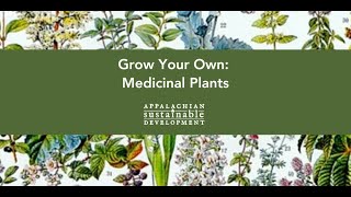 Grow Your Own Medicinal Plants [upl. by Pernas764]