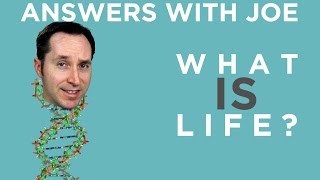 What Is Life A Surprisingly Complex Question  Answers With Joe [upl. by Enillebyam]