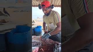 Huge Spangled Emperor Fish Cutting  Speed Kasimedu fish cutting [upl. by Porta]