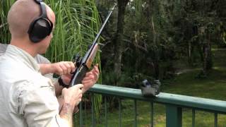 Shooting pump action Remington 3006 [upl. by Gregorius]