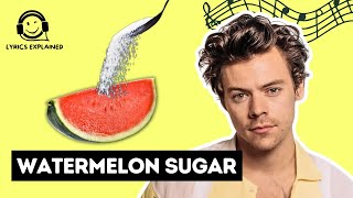 HARRY STYLES quotWatermelon Sugarquot  Official Lyrics and Meaning [upl. by Blainey]