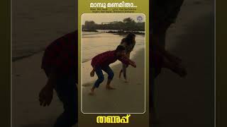 Mamboo Manamithaa  Thanupp kapilkapilan shortsfeed shorts reels shortsvideo romanticsongs [upl. by Russon142]