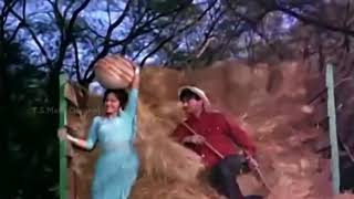 Kaanton Se Kheench Ke Yeh Aanchal  Lata Mangeshkar  Dev Anand Waheeda Rehman  Guide 1965 [upl. by Ano605]