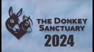 Donkey Sanctuary Sidmouth 2024 [upl. by Ydnolem]