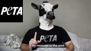 The Cult of Peta [upl. by Skillern]