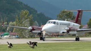 Northern Thunderbird Air Beechcraft King Air 350 [upl. by Mcferren315]