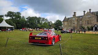 Beaulieu Supercar Weekend 2024 🚘 OUR TIM  Saturday Clips [upl. by Gilberto]