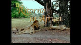 Ritorno in Africa 2004 [upl. by Nnalatsyrc]