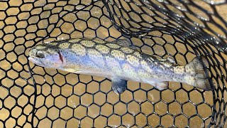 Tight line nymphing  First Trout 2024  Delayed Harvest Special Regs [upl. by Ahsieyt]