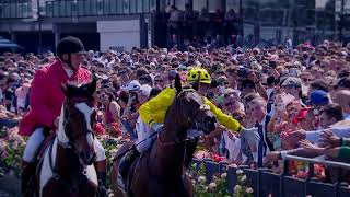 2024 Melbourne Cup Preview Show [upl. by Lai385]