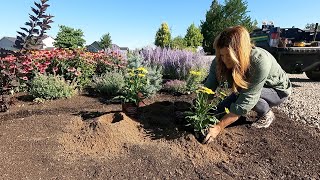 Planting 5 Varieties of Echinacea  They LOVE the Heat 🔥🌿🌻  Garden Answer [upl. by Mahmoud289]