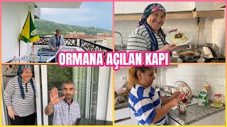 BALKONU YIKADIKğŸ§¼BABAMIN ENERJÄ°SÄ°ğŸ‰AKÅAMA KAVURMA PÄ°LAV VAR ğŸ˜‹ vlog temizlik yemektarifleri [upl. by Em]