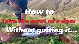 The “gutless” method of taking the meat of a deer without gutting it Mountain fielddressing process [upl. by Lydon]