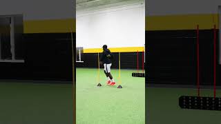 Agility Poles Drill [upl. by Asyl]