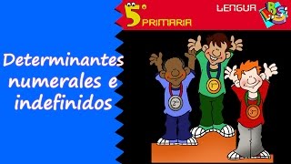 Determinantes numerales e indefinidos Lengua 5º Primaria Tema 6 [upl. by Ahsaek840]