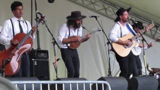 2016 Winnipeg Folk Festival  The Dead South  Boots [upl. by Brunk997]