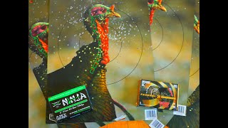 APEX TURKEY NINJA VS FEDERAL TSS 9 Best turkey load ever [upl. by Anivlac]