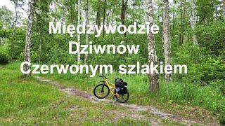 Międzywodzie  Dziwnów Czerwonym szlakiem przy wydmach Zachodniopomorskie Polska [upl. by Cr]