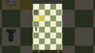 BRILLIANT ROOK SAC full chess board on my channel [upl. by Artimid]