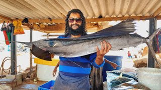 Cutting IndoPacific Sailfish  30000 Rs Huge Fishlanka negombo fish [upl. by Georglana477]