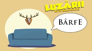 Bârfe  Luzarii de pe Electrolizei 20 [upl. by Pages]