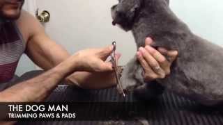 How to Trim Paws amp Pads by The Dog Man [upl. by Kartis478]