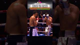 Bivol vs Zinad ビボルvsジナドbivol beterbiev canelo boxing [upl. by Anoved835]