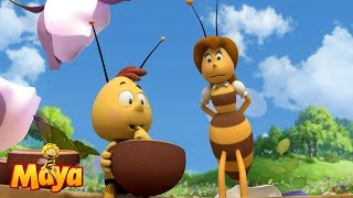 Taste Test  Maya the Bee 🐝🍯🐝 [upl. by Poirer797]