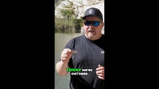 Master Tailspin Techniques for Largemouth Bass Fishing [upl. by Hanan]