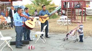 Chilena Mixteca con Violin  Trio Origen de Oaxaca [upl. by Myrle]