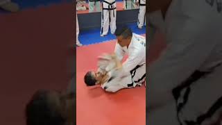 Taekwondo defensa en el piso [upl. by Eiroc133]