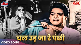 Chal Ud Jare Panchhi 4K Video in Color  Mohammed Rafi Old Song  Bhabhi 1957 Songs [upl. by Eiba]