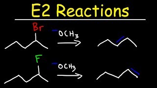 E2 Reaction Mechanism  Hoffman Elimination vs Zaitsevs Rule [upl. by Novyak]