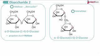 Disaccharide [upl. by Kentigerma473]