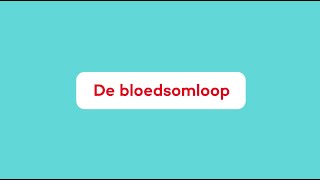 Wat is de Bloedsomloop [upl. by Noraha456]