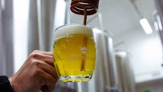 Uneticky Pivovar world class openfermented lagers  The Craft Beer Channel [upl. by Vaclava]