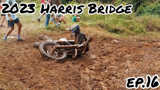 2023 MidEast Harris Bridge  Mint Vlogs Ep16 [upl. by Nivej]