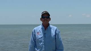 Texas Fishing Tips Fishing Report 71124 Port Aransas Area With Capt Monte Graham [upl. by Ifar]