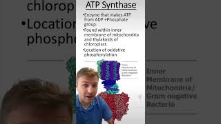 ATP Synthase [upl. by Iffar]