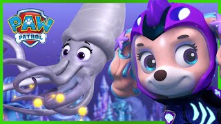 Aqua Pups Stop a Giant Squid  PAW Patrol Episode  Cartoons for Kids [upl. by Akerahs]