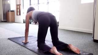 Beginners Pilates  Pilates Exercises for Beginners and Seniors  PART 2 [upl. by Nnayrrehs]