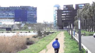 AMP  Runs ZAT Montpellier Parkour [upl. by Schwab790]