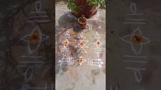 Tulasi kota muggulu rangoli ♥️♥️ [upl. by Nocaed]