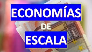 Economías y deseconomías de Escala [upl. by Coffee]