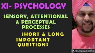 SENSORY ATTENTIONAL AND PERCEPTUAL PROCESSES SHORT amp LONG MOST IMPORTANT QUESTIONS [upl. by Broddy193]