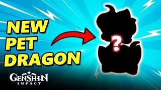 How to Get this Dragon Pet in Genshin Impact 50 [upl. by Konyn]