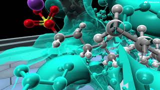 Protein Structure Part 9 of 10  Denaturation [upl. by Carlotta]