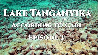 Lake Tanganyika According to Carl episode 3 [upl. by Rehm]