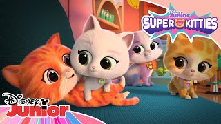 😻 Dzień Kociaka  Superkoty  Disney Junior Polska [upl. by Inavoig]